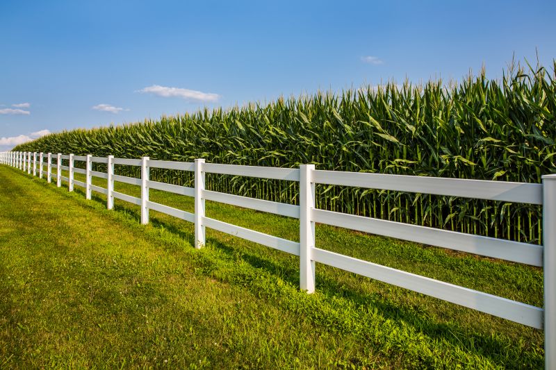 Rural Split Rail Fence